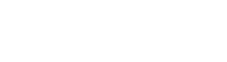 翻訳/通訳サービス